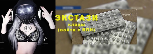винт Ельня