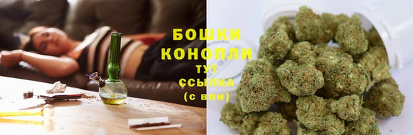 винт Ельня