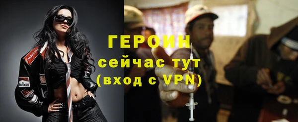 прущие грибы Хадыженск