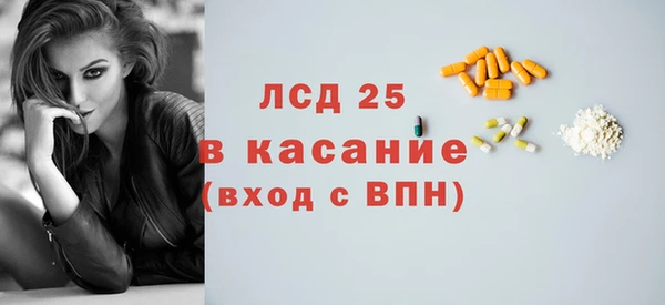 винт Ельня