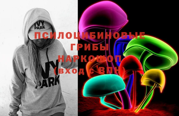 винт Ельня