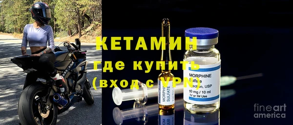 прущие грибы Хадыженск