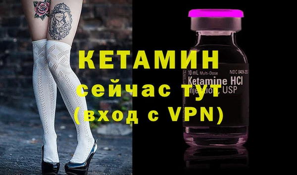 винт Ельня