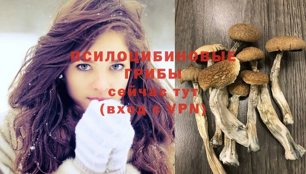 винт Ельня