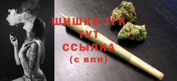 винт Ельня