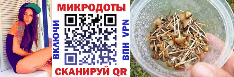 Галлюциногенные грибы MAGIC MUSHROOMS  omg ссылка  Рузаевка  наркошоп 