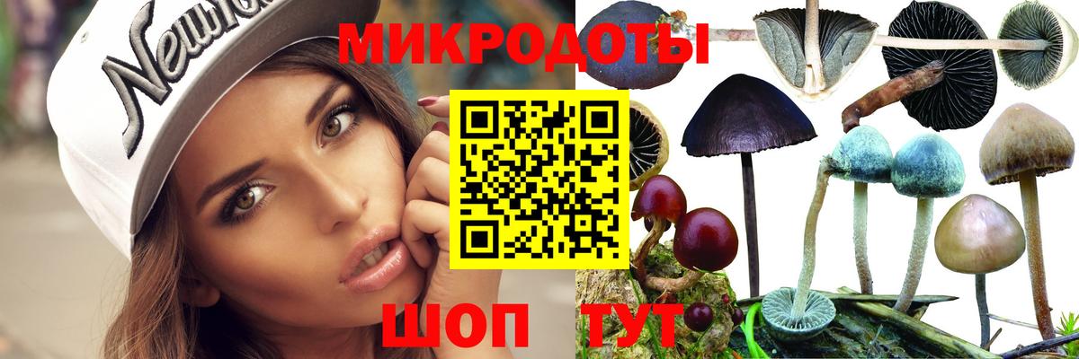 Галлюциногенные грибы Magic Shrooms  Вход с VPN  даркнет сайт  Рузаевка 